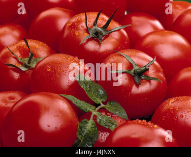 Tomatoes, Lycopersicon esculentum, wet, near detail, dear apples, paradise apples, red, washed, drops of water, Solanaceae, nutrition, healthy, vitamins, rich in vitamins, freshly, vegetables, still life Stock Photo