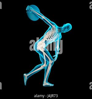 Human Discus Skeletal structure of athlete throwing discus, illustration Stock Photo ...