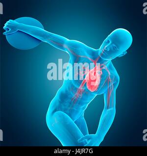 Human Discus Anatomy of athlete throwing discus, illustration Stock Photo - Alamy