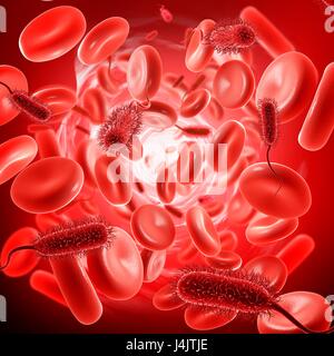 Illustration of a blood infection with Escherichia coli bacteria. Stock Photo