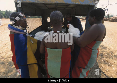 South Africa, Ndebele village, delivery van, women, non-whites, back view no model release RSA, Africa, South Africa, Transvaal-Ndebele, Bantu people, Africans, clothes, jewellery, traditionally, fowl, poultry, sales Stock Photo