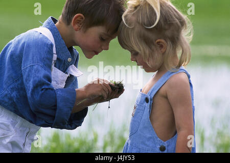 Boy, girls, earthworm, point, half portrait outside, summer, children, childhood, siblings, sister, brother, hand, worm, look, consideration, discover, discovery phase, curiously, curiosity, interests, play with each other, together, tread Stock Photo