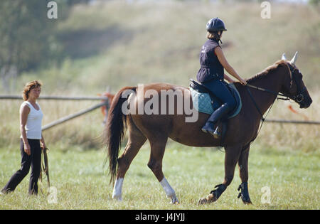 Meadow, girl, horse, ride, riding instructor outside, summer, holidays, leisure time, teenager, young persons, bleed holidays, riding exchange rate, woman, control, rider, fun, hobby, sport, horse-riding, sportily, animal, Longe Stock Photo