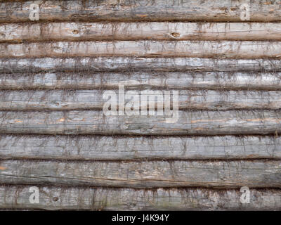 Old wooden weathered logs cabin wall with oakum background Stock Photo