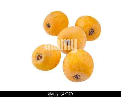 Five loquat fruits isolated on white Stock Photo