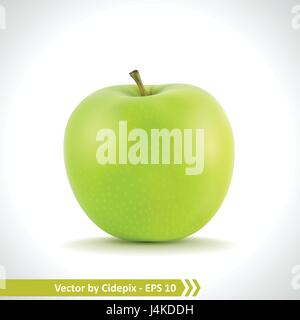 Gradient Mesh Vector Illustration of a Photo Realistic Green Apple Stock Vector