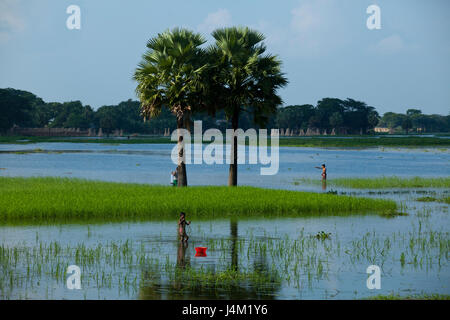 A landscape view of rural area in Gopalganj, Bangladesh. Stock Photo