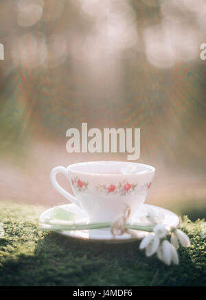 Sunshine on teacup and flower on moss Stock Photo