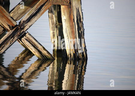 Wooden mooring stack in Cardiff Bay, reflected in almost still water Stock Photo