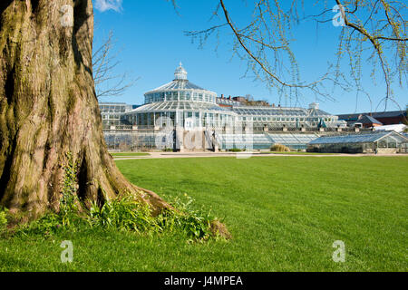 Palm House in the Royal Botanical Gardens in Copenhagen, Denmark Stock Photo