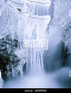 Meadow brook, branches, icicles, detail brook, waters, branches, shrubs, branch, freezes, E sharp, cold, nature, spectacle of nature, structure, winter, season Stock Photo