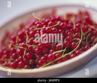 Plate, red currants fruit, fruits, berries, berries, red, eatable, Ribes record of proceedings before judgment, healthy, vitamins, rich in vitamins, low-calorie, nutrition, healthy, food, object photography, still life Stock Photo