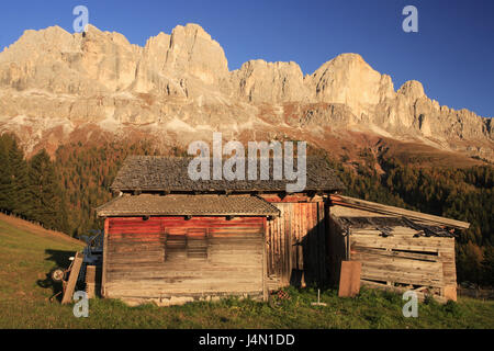 Italy, South Tirol, the Dolomites, rose garden, wooden hut, evening light, Stock Photo