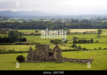 Ireland, Munster, county Tipperary, Cashel, rock of Cashel, ruin, Stock Photo