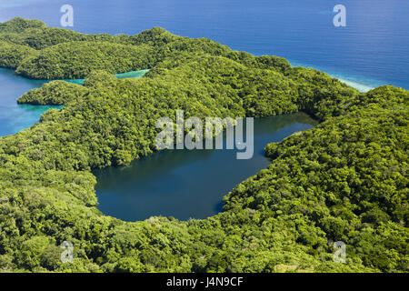 Palau, rock of Iceland, jellyfish lake, aerial shots, Stock Photo