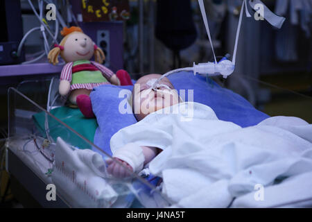 Baby, intensive care unit, Stock Photo