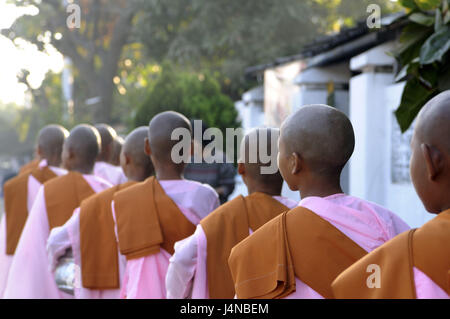 Monks, female, young, Buddhists, line-up, food output, Pyay, Myanmar, Stock Photo