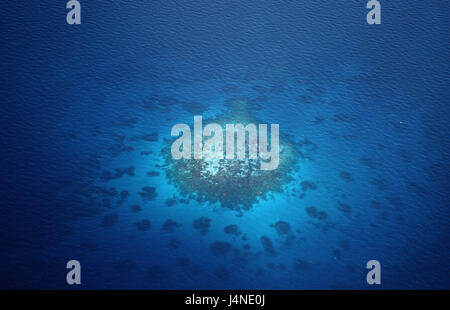 Aerial shots, coral reefs, the Maldives, Stock Photo