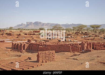 West Africa, Mali, Douentza, brickyard, herd of cattle, Stock Photo