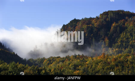 Austria, salt chamber property, lunar lake, Scharfling, autumn wood, fog, mountain landscape, mountains, mountain wood, wood, mixed forest, autumn colours, fog patches, nature, nobody, season, Stock Photo