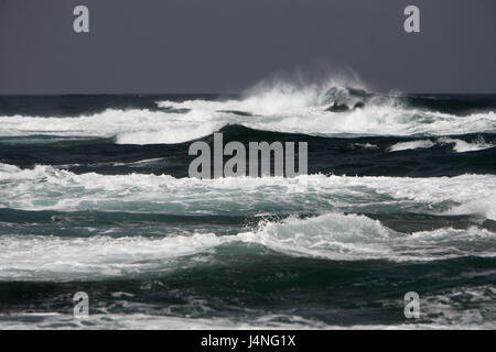 Spain, Fuerteventura, el Cotillo, breakers, attack, Stock Photo