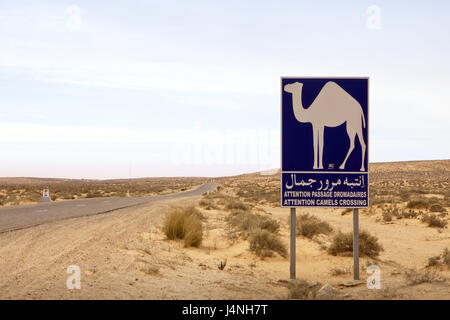 Tunisia, Sahara, street close Douz, danger sign, camels, North Africa, desert, Sand, shrubs, dryness, heat, country road, sign, camel, tip, attention, cross, danger, sign, nobody, exited, seclusion, width, Stock Photo