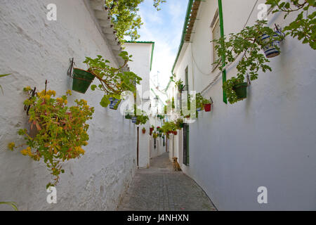 Spain, Andalusia, Priego de Cordoba, lane, house facades, floral decoration, Stock Photo