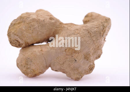 Ginger root, Zingiber officinale, Stock Photo