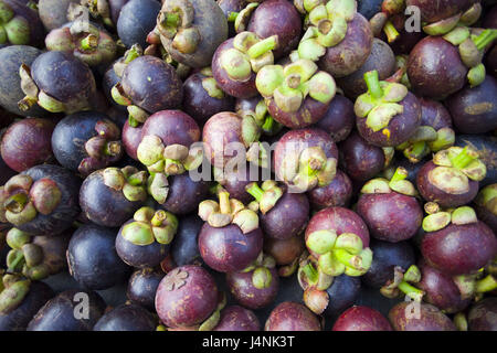 Mangostane Stock Photo Alamy