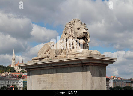 Lion on the entrance to the Chain Bridge over the River Danube in Budapest, Hungary. Stock Photo