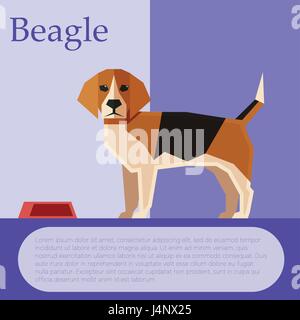 Beagle colourful postcard Stock Vector