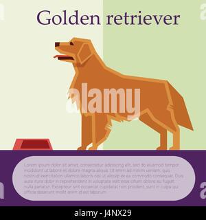Golden retriever colourful postcard Stock Vector