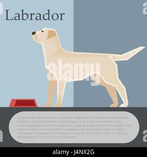 Labrador colourful postcard Stock Vector