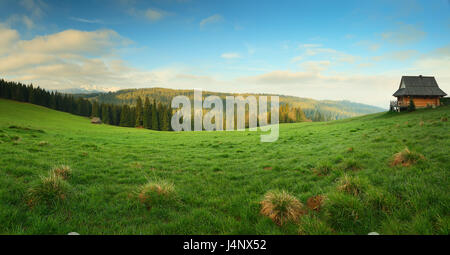 Green valley in the morning. Blue sky over green mountain meadow. Resort houses on Alps hills. Summer mountain background. Stock Photo