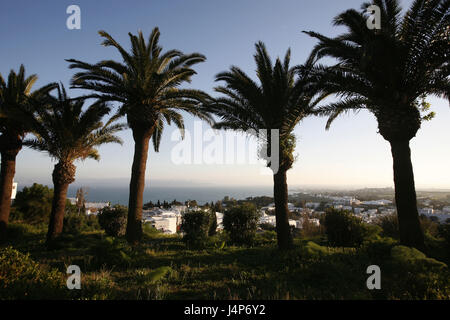 Tunisia, Sidi Bou Said, Old Town, local overview, palms, sea, evening light, Stock Photo