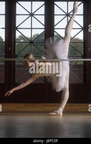 Ballet dancer, model released Stock Photo - Alamy