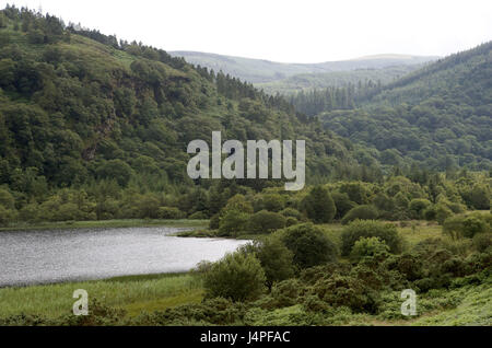 Ireland, Leinster, county Wicklow, Glendalough, Lower brine, Stock Photo