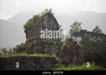 Vietnam, micron Son, Cham ruins, Stock Photo