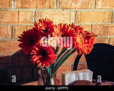 Orange gerbera daisy bouquet in vase against brick wall on table during sunset natural light Stock Photo