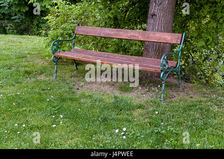 Wooden, iron bench under a horse chestnut tree in the garden Stock Photo