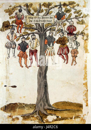 Wickiana Baum refers to a specific tree species or a botanical collection named after someone or a place. The name suggests a connection to botanical research or a unique plant species. Stock Photo