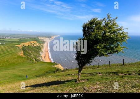 Bridport, Dorset, UK. 14th May 2017. UK Weather.   View East towards West Bay from the cliff top of Thorncombe Beacon above Eype near Bridport in Dorset on a warmy sunny afternoon.  Photo Credit: Graham Hunt/Alamy Live News Stock Photo