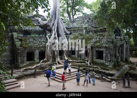Cambodia, Siem Reap, Angkor Wat, Ta Prohm temple, visitor, Stock Photo