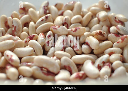 Scattered white motley haricot beans. Top view Stock Photo