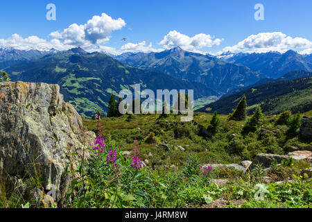 High mountains view with green meadow and stones in the foreground.  Zillertal High Alpine Road, Austria, Tirol, Zillertal Stock Photo