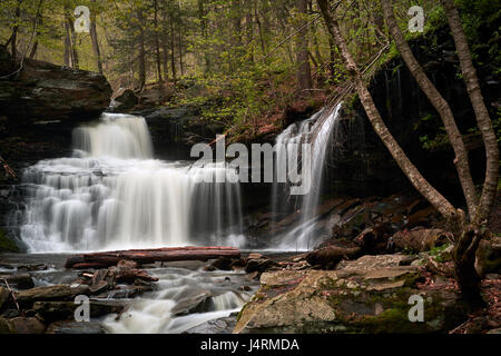 Ricketts Glen State Park, Benton, Pennsylvania, USA Stock Photo