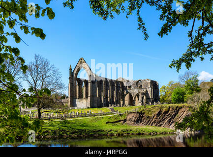 Bolton Priory, Bolton Abbey, Wharfedale, Yorkshire Dales National Park, North Yorkshire, England, UK Stock Photo