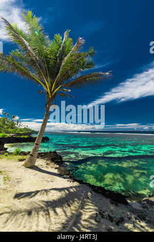 Natural infinity rock pool with palm trees over tropical ocean lagoon, Samoa Stock Photo