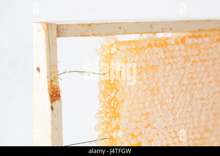 Honeycomb in wooden frame close view Stock Photo