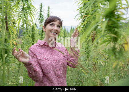 Smiling young woman in a hemp garden touching plants